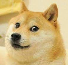 新游登顶老游翻红，Save the Doge的狗头真就这么给力？ - 移动互联网出海,出海服务,海外的行业服务平台 - Enjoy出海