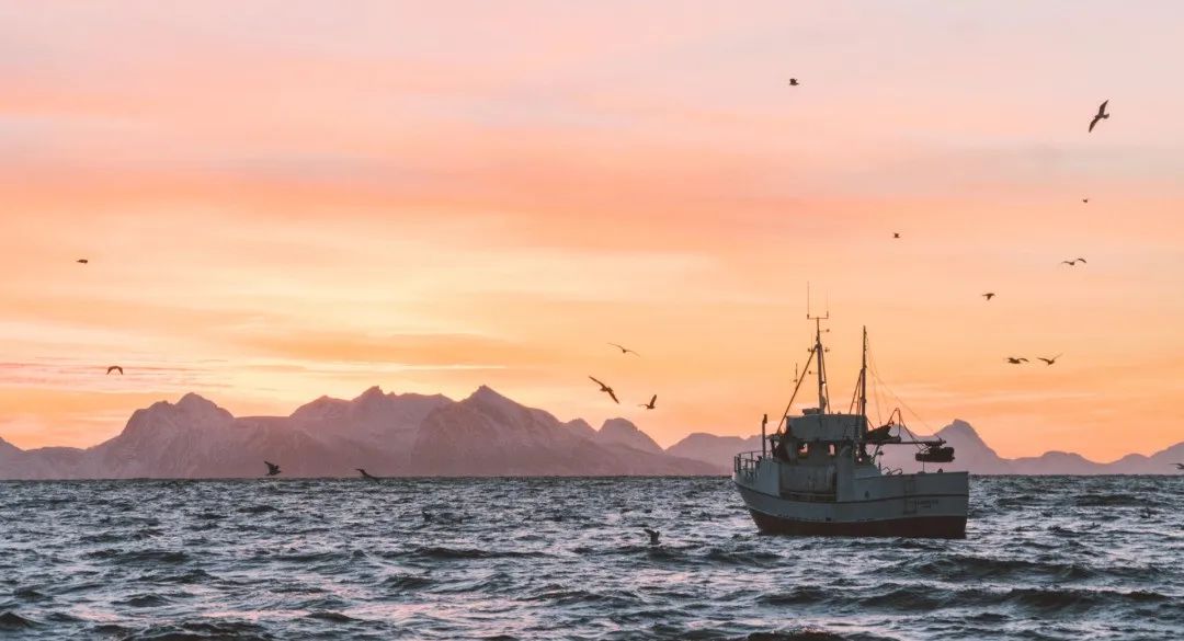 29家上市游戏公司出海成绩：近半营收下滑，8家突破10亿元 - 移动互联网出海,出海服务,海外的行业服务平台 - Enjoy出海