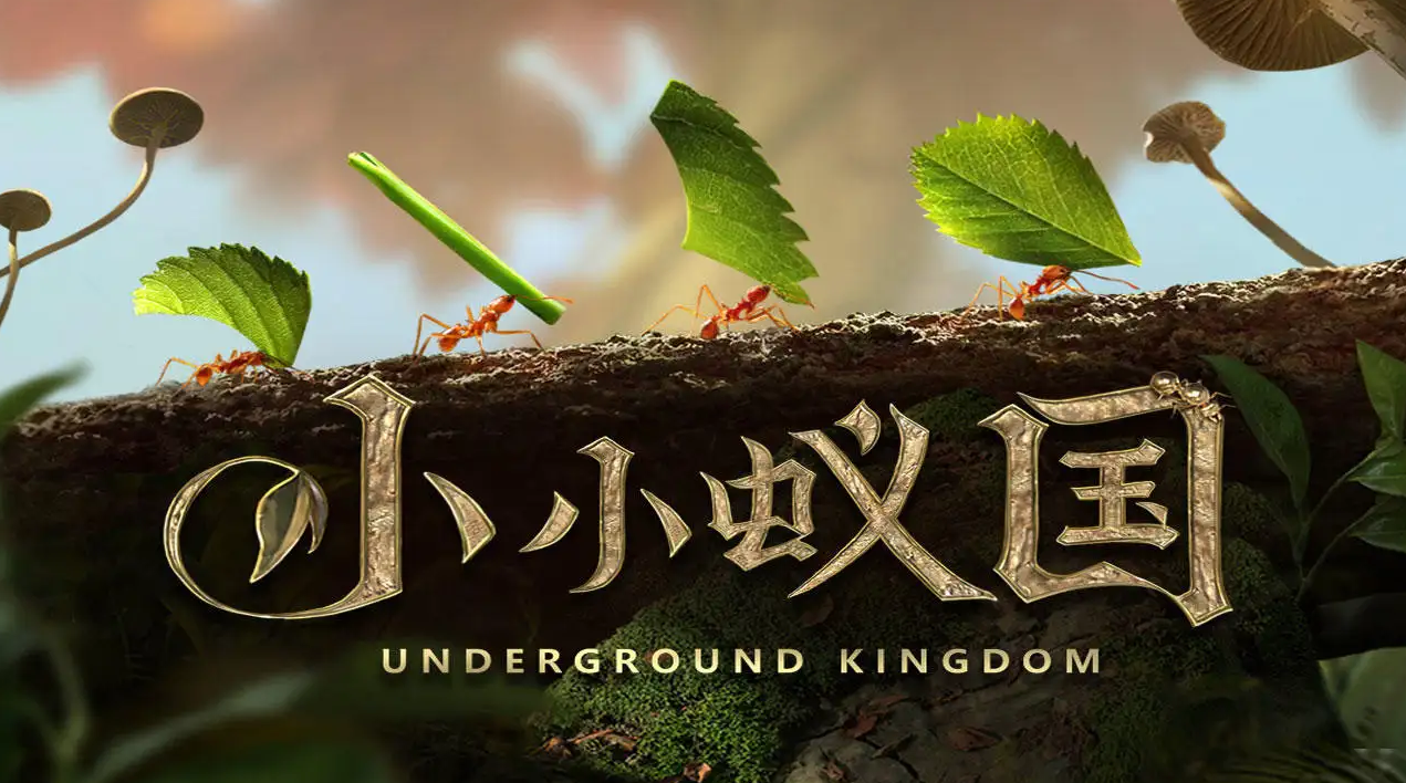 8个0的宣发预算，这款二次元的广告太凶了！ - 移动互联网出海,出海服务,海外的行业服务平台 - Enjoy出海