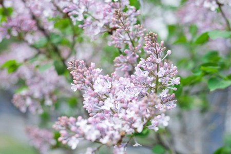 源码居然要做种子投资？ - 移动互联网出海,出海服务,海外的行业服务平台 - Enjoy出海