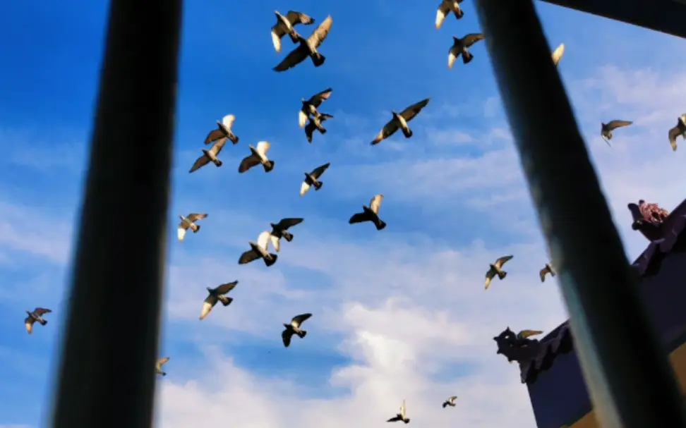 印度手游赶超中国倒计时，如何扩大内需成关键 - 移动互联网出海,出海服务,海外的行业服务平台 - Enjoy出海