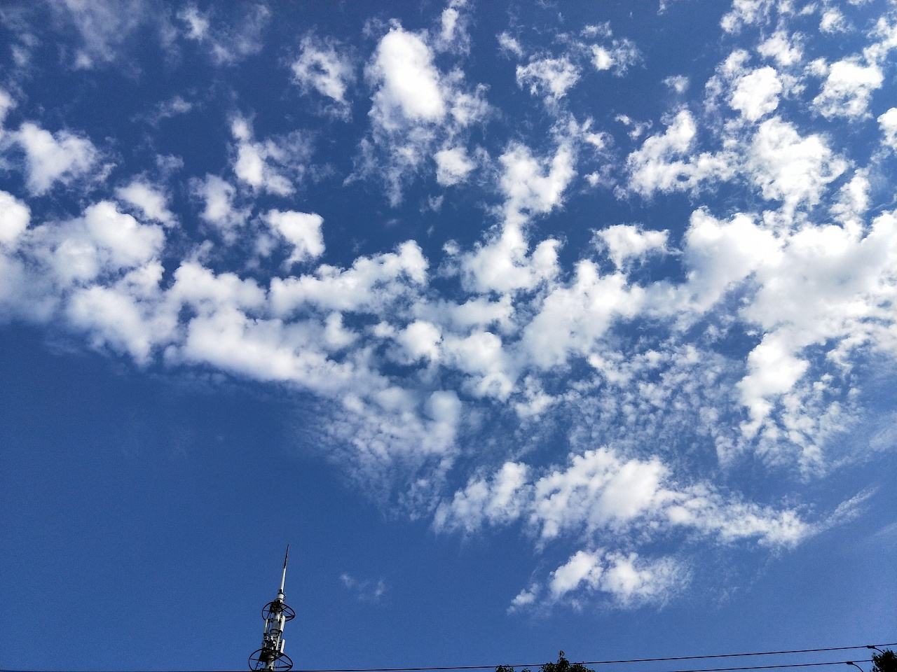 沙特电商日均销售额约7089万美元！创历史最高记录 - 移动互联网出海,出海服务,海外的行业服务平台 - Enjoy出海