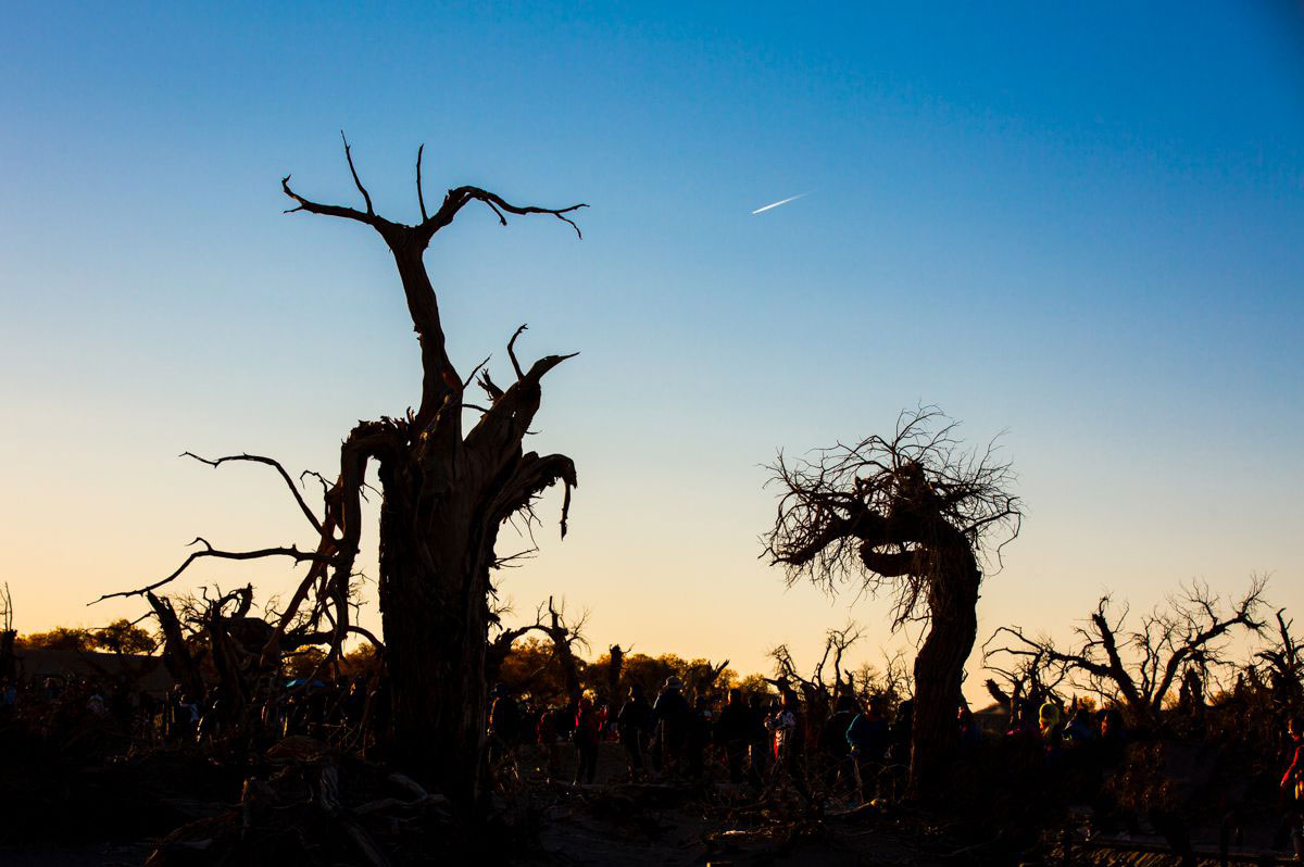 惨烈的2022：十六家游戏厂商发业绩预告，亏损超半数 - 移动互联网出海,出海服务,海外的行业服务平台 - Enjoy出海