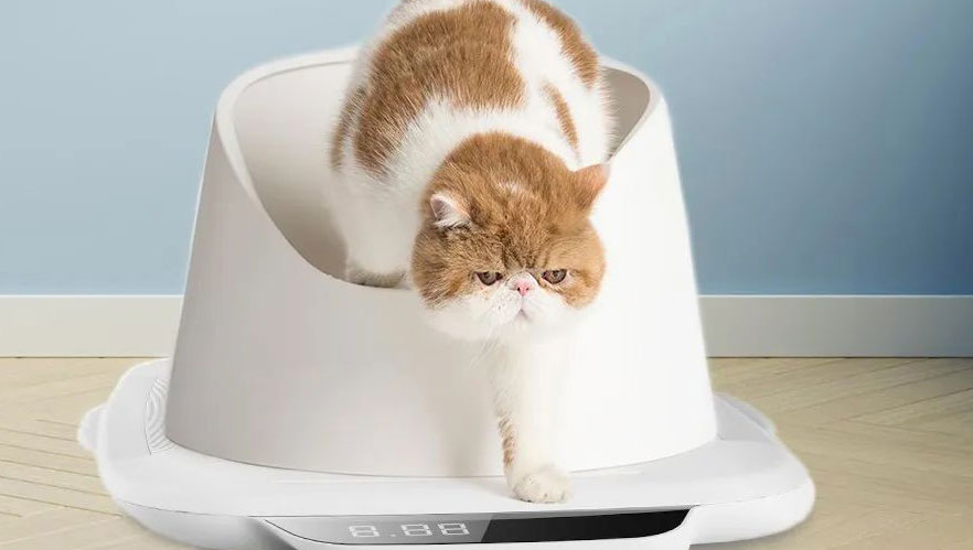 对话联宠智能 CATLINK 创始人丨注重技术输出，做海外市场需要打造品牌文化 - 移动互联网出海,出海服务,海外的行业服务平台 - Enjoy出海