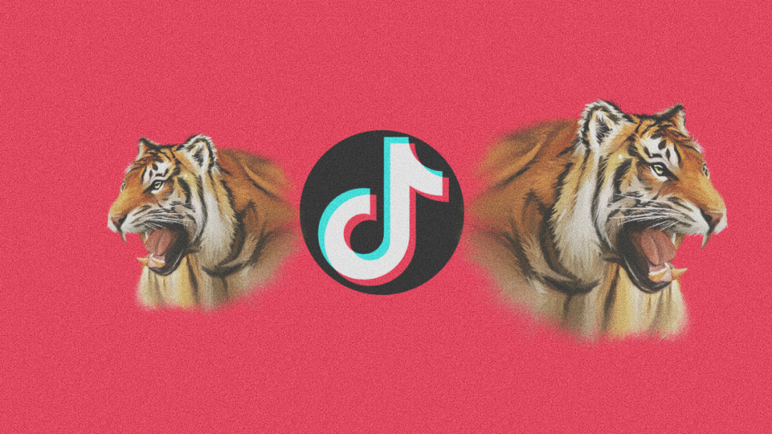 字节再现“大力出奇迹”，搅动中东直播 - 移动互联网出海,出海服务,海外的行业服务平台 - Enjoy出海