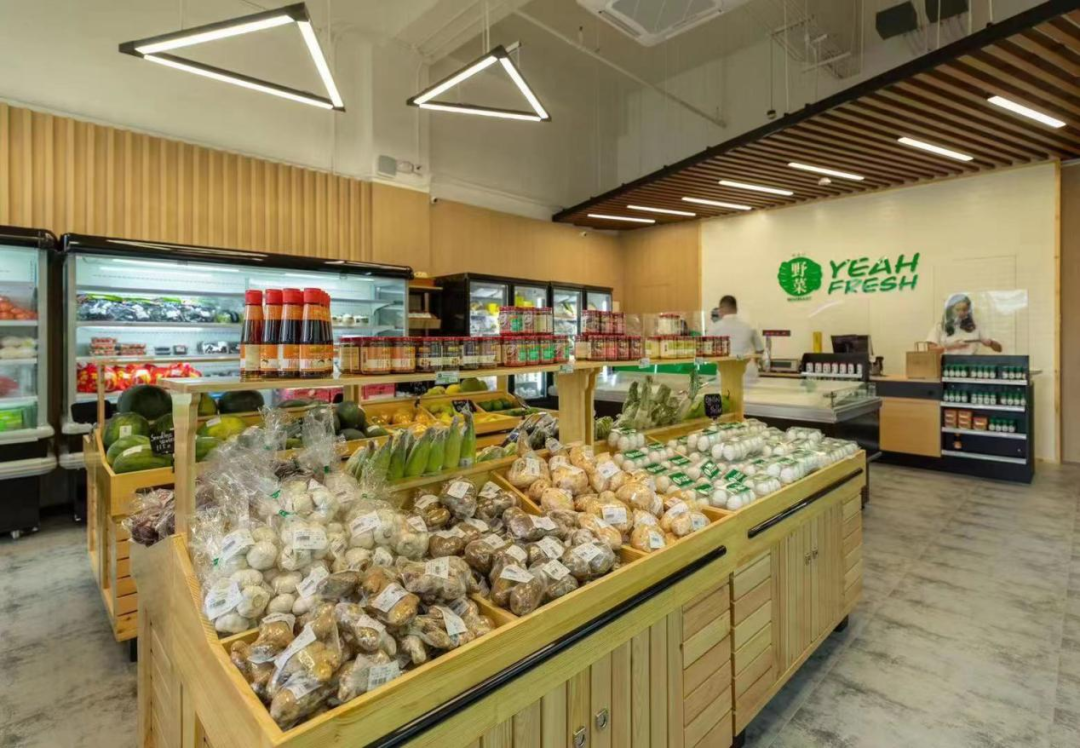 我在菲律宾做生鲜电商，成了“马尼拉市最佳雇主” - 移动互联网出海,出海服务,海外的行业服务平台 - Enjoy出海