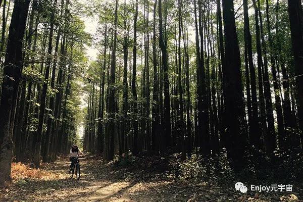 出海黑森林法则 十六 元宇宙·NFT·GameFi 这里才是真的黑森林 是时候学起来 让我们从内心深处层层剖析 - 移动互联网出海,出海服务,海外的行业服务平台 - Enjoy出海