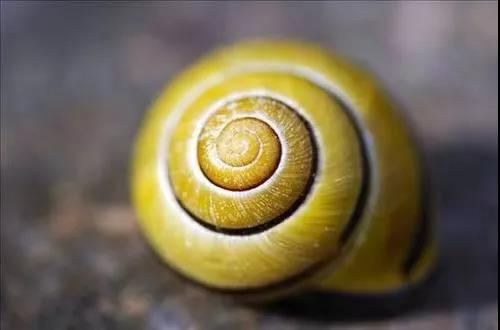 遥望2022 抗内卷 永相伴 Enjoy出海&Enjoy跨境电商 - 移动互联网出海,出海服务,海外的行业服务平台 - Enjoy出海