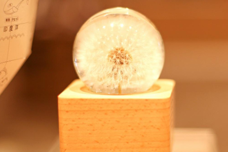 海外网红营销避坑指南 注意这五点把钱花在刀刃上 - 移动互联网出海,出海服务,海外的行业服务平台 - Enjoy出海