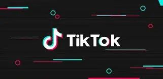 TikTok闭环小游戏开发窗口开放，游戏厂商可申请自主开发 - 移动互联网出海,出海服务,海外的行业服务平台 - Enjoy出海